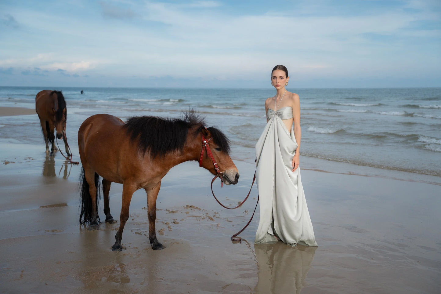 ISABELLA DRESS