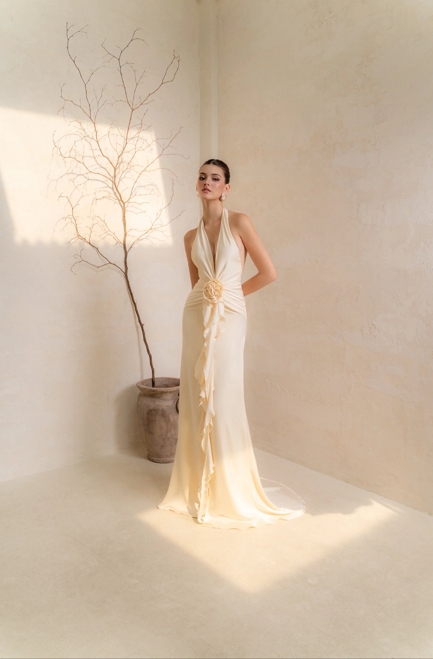 BELLATRIX DRESS