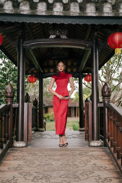 VIEN HY DRESS