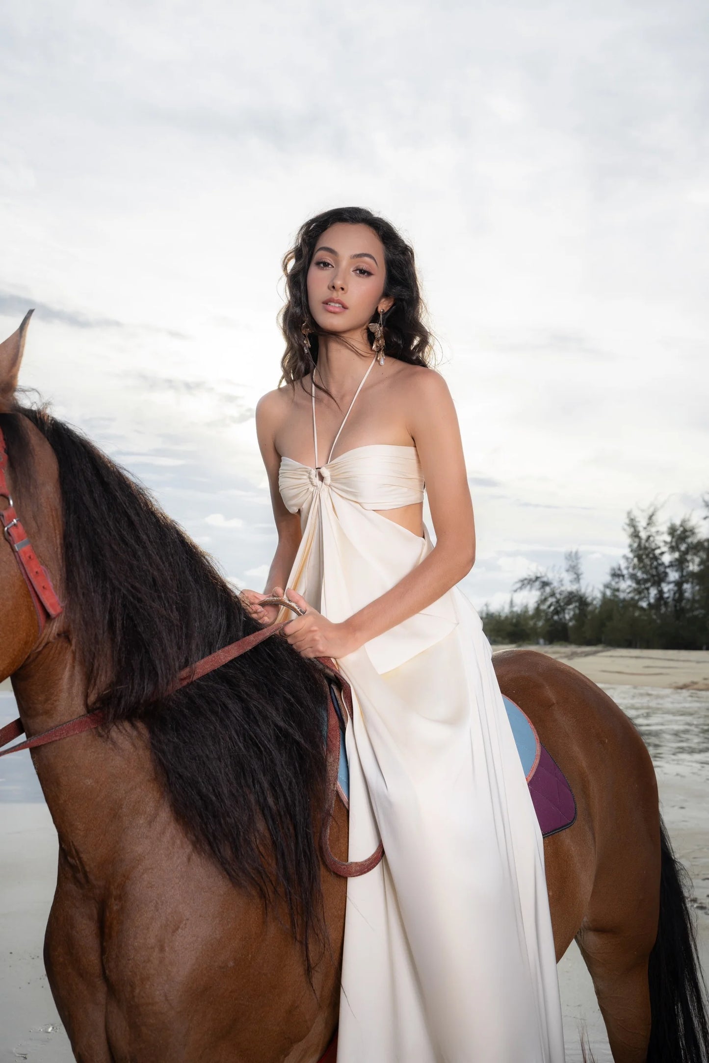 ISABELLA DRESS