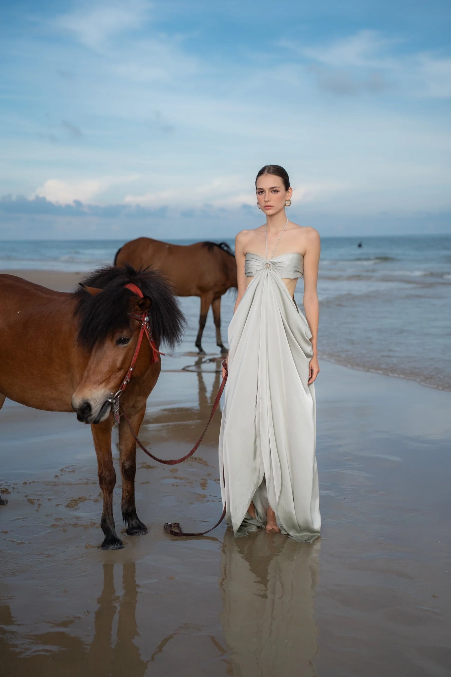 ISABELLA DRESS