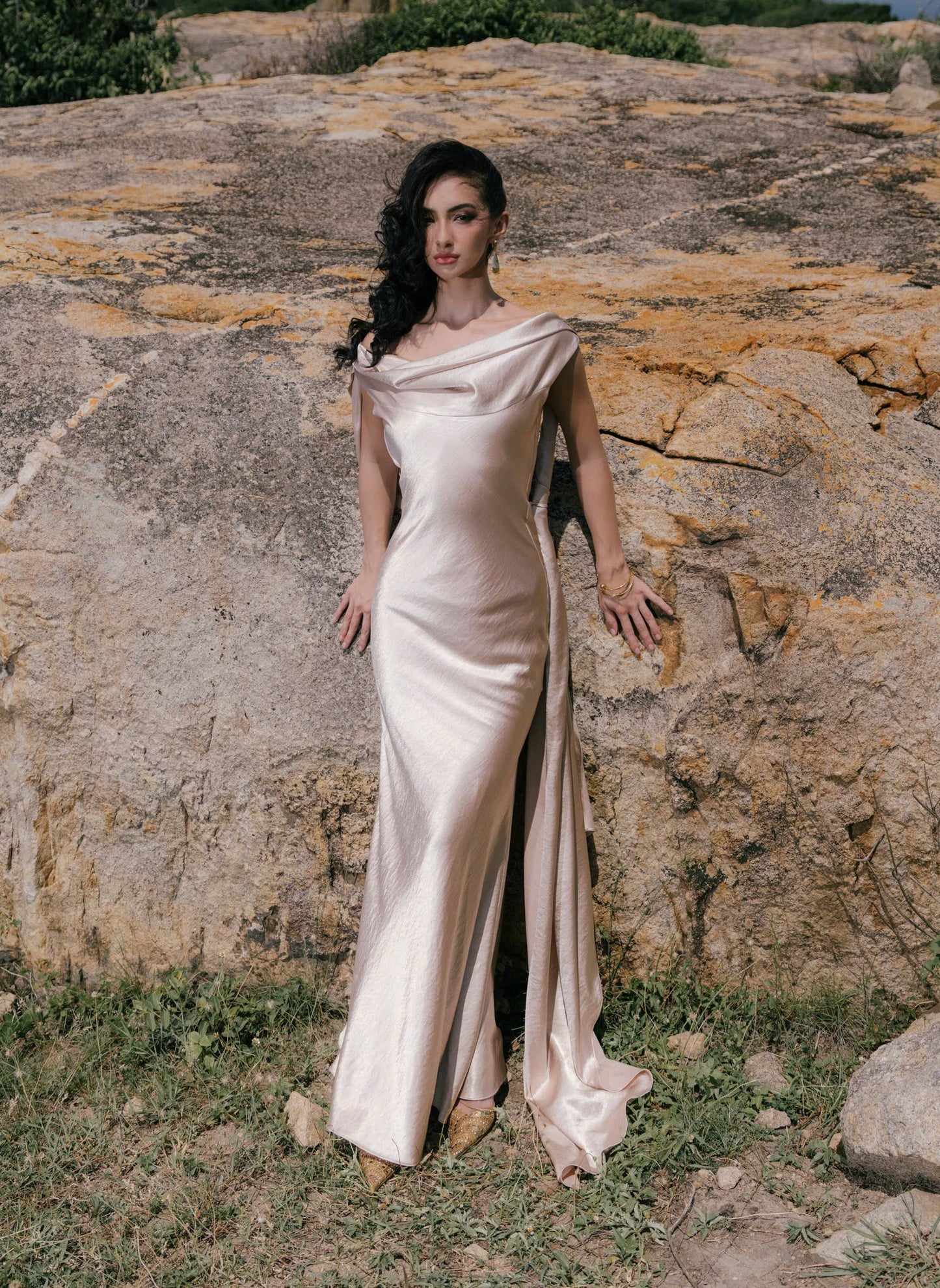 VIONNA DRESS