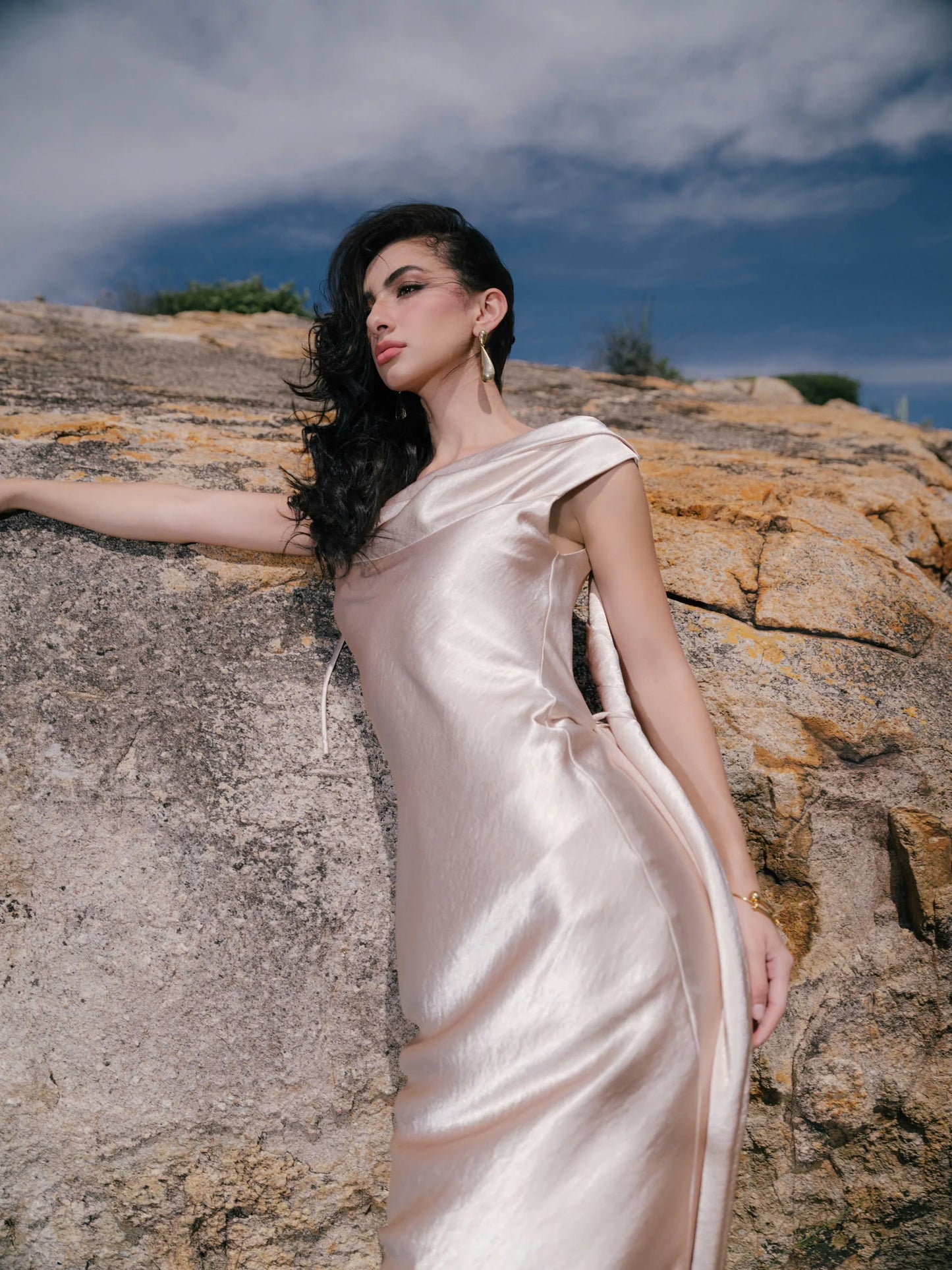 VIONNA DRESS